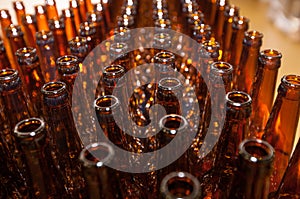 The necks of empty beer bottles, which will pour beer, top view