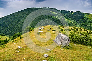 Necropolis with stecak near Umoljani in Bosnia and Herzegovina