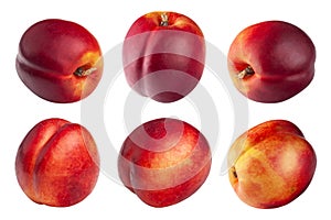 Nectarin on a white background