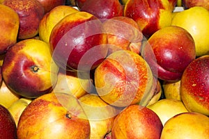 Nectarine close up. Fresh Organic Nectarines. Heap