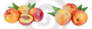 Nectarine fruit and half with leaf isolated on white background cutout