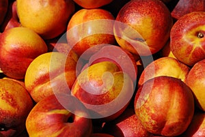 Nectarines