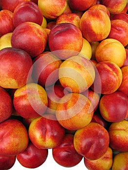 Nectarines.