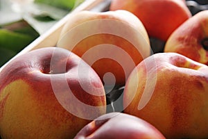 Nectarines. photo