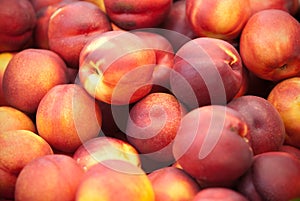 Nectarines