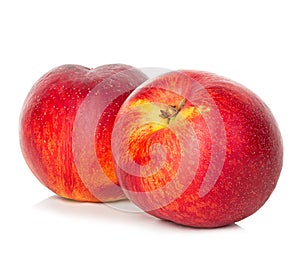 Nectarines isolated on white