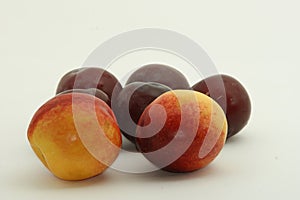 Nectarines and plums against white background