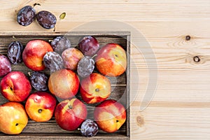 Nectarines and plums in a box.