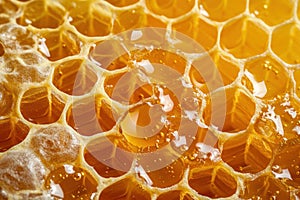 Nectars Golden Sanctuary, An Intimate Glimpse Into Natures Honey Cell Symphony