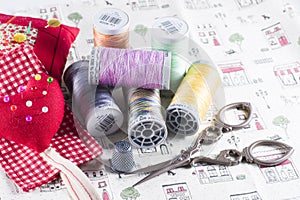 Neddle Case, Spool and Scissors