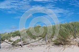 Nederlandse groene duinen