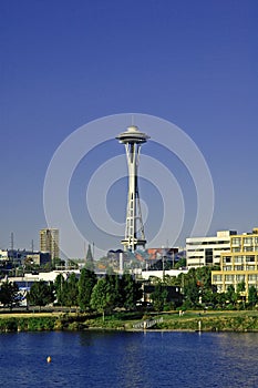 The Needle