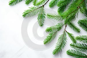 needle-free pine branches on a light surface