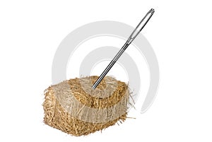 Needle in haystack