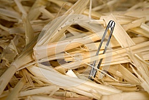 Needle in haystack