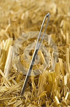 Needle In A Haystack