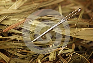 Needle in a haystack.