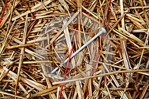 Needle in a Haystack 2