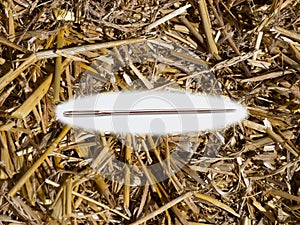 Needle in a haystack