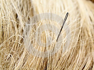 Needle in a haystack