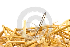 Needle in a haystack