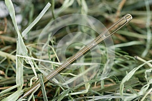 Needle in a haystack