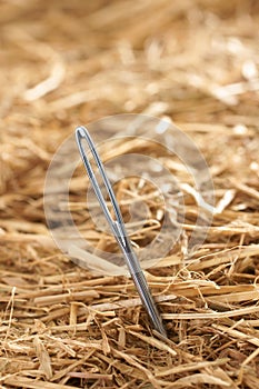 Needle in a Haystack