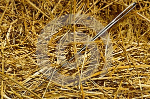 Needle in the haystack
