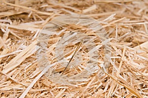 Needle in a haystack symbol of something hard to find
