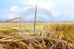 Needle in a Haystack
