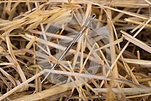 Needle in a haystack