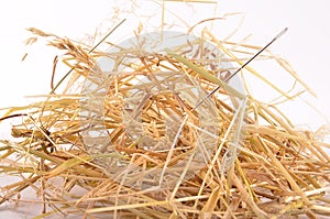 Needle in haystack