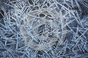 Needle ice crystals