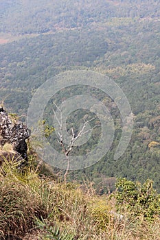 Needle Rock View Point, Gudalur, Nilgiris, Tamilnadu, coimbatore