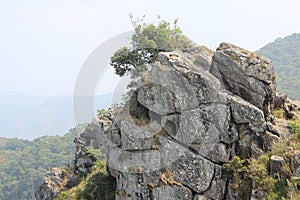 Needle Rock View Point, Gudalur, Nilgiris, Tamilnadu, coimbatore