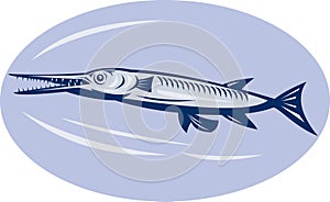 Needlefish
