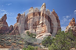 The Needles at Canyonlands National Park