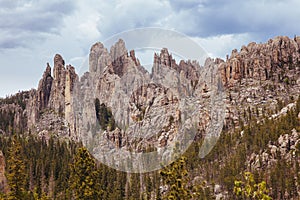 The Needles in Custer State Park