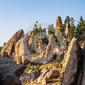 The Needles in Custer State Park