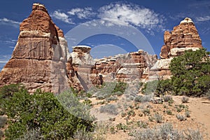 Needles Region of Canyonlands National Park