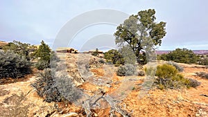 Needless District - Canyonlands National Park - Utah