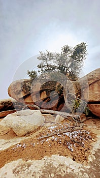 Needless District - Canyonlands National Park - Utah