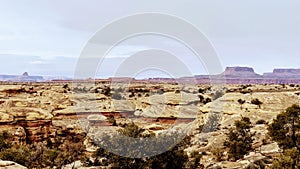 Needless District - Canyonlands National Park - Utah