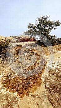 Needless District - Canyonlands National Park - Utah