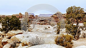 Needless District - Canyonlands National Park - Utah