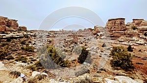 Needless District - Canyonlands National Park - Utah