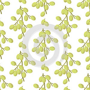 Neem. Color seamless pattern with fruits.