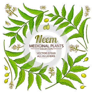 Neem elements vector set