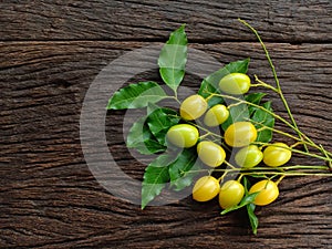 Neem leaf and neem fruit on wooden table.