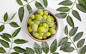 Neem leaves and seeds contain azadirachtin, which is an insecticide. The seeds contain an oil called margosa oil that is used as photo